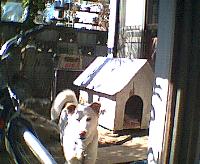 �����ƃ��b�N