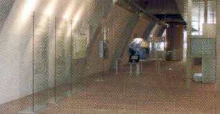 �I�Z�A�j�b�N�K�����A