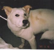 ���b�N�U����